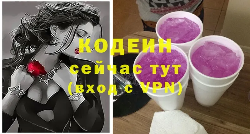 цена наркотик  Анадырь  мега как зайти  Кодеиновый сироп Lean Purple Drank 