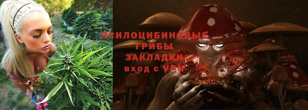 PSILOCYBIN Нязепетровск