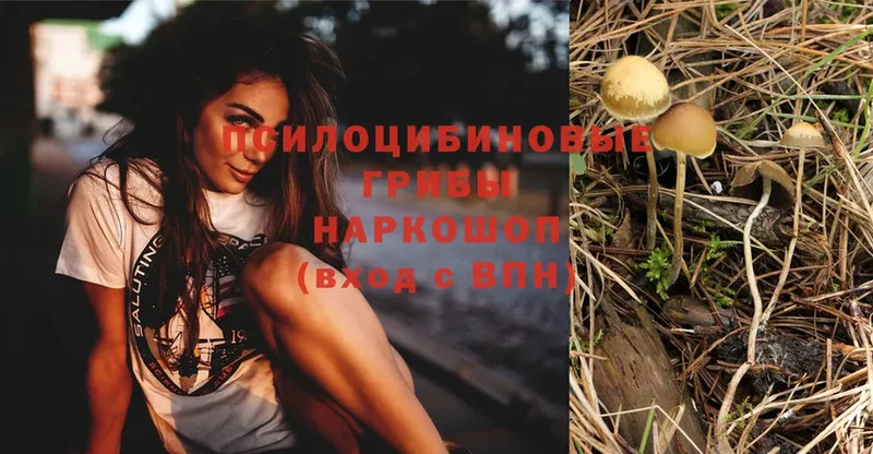 Галлюциногенные грибы MAGIC MUSHROOMS  даркнет сайт  гидра рабочий сайт  Анадырь 