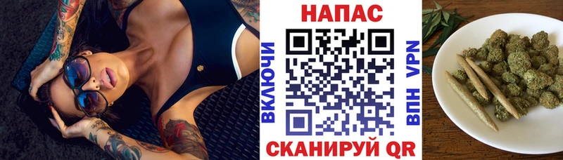 Канабис OG Kush  Анадырь 